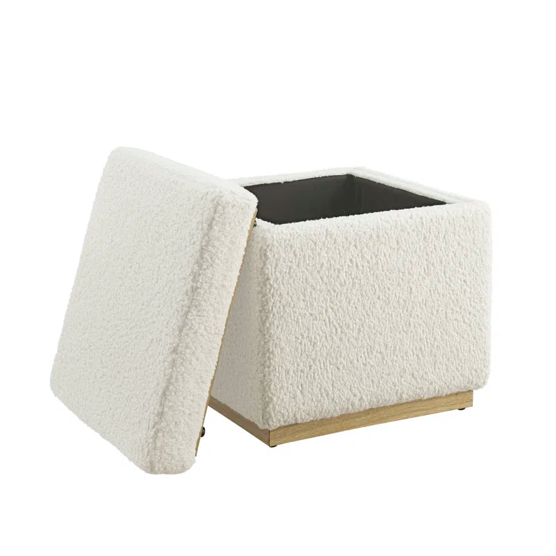Atreju Upholstered Storage Ottoman