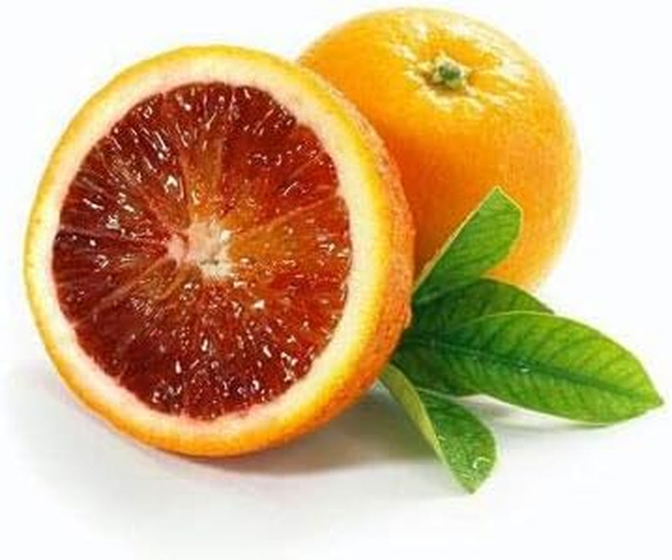 - Blood Orange Tree, 3-4 Ft, Live Trees, No Shipping to AAL, AZ, CA, FL, GA, LA, OR, TX, MS