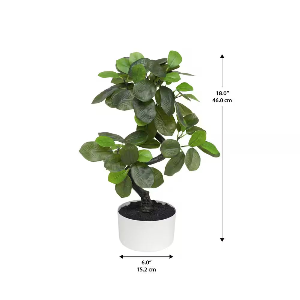 18 In. Artificial Snake Shape Ficus (6 In. X 3.1 In. H Pot; 18 In. X 18 In. H)