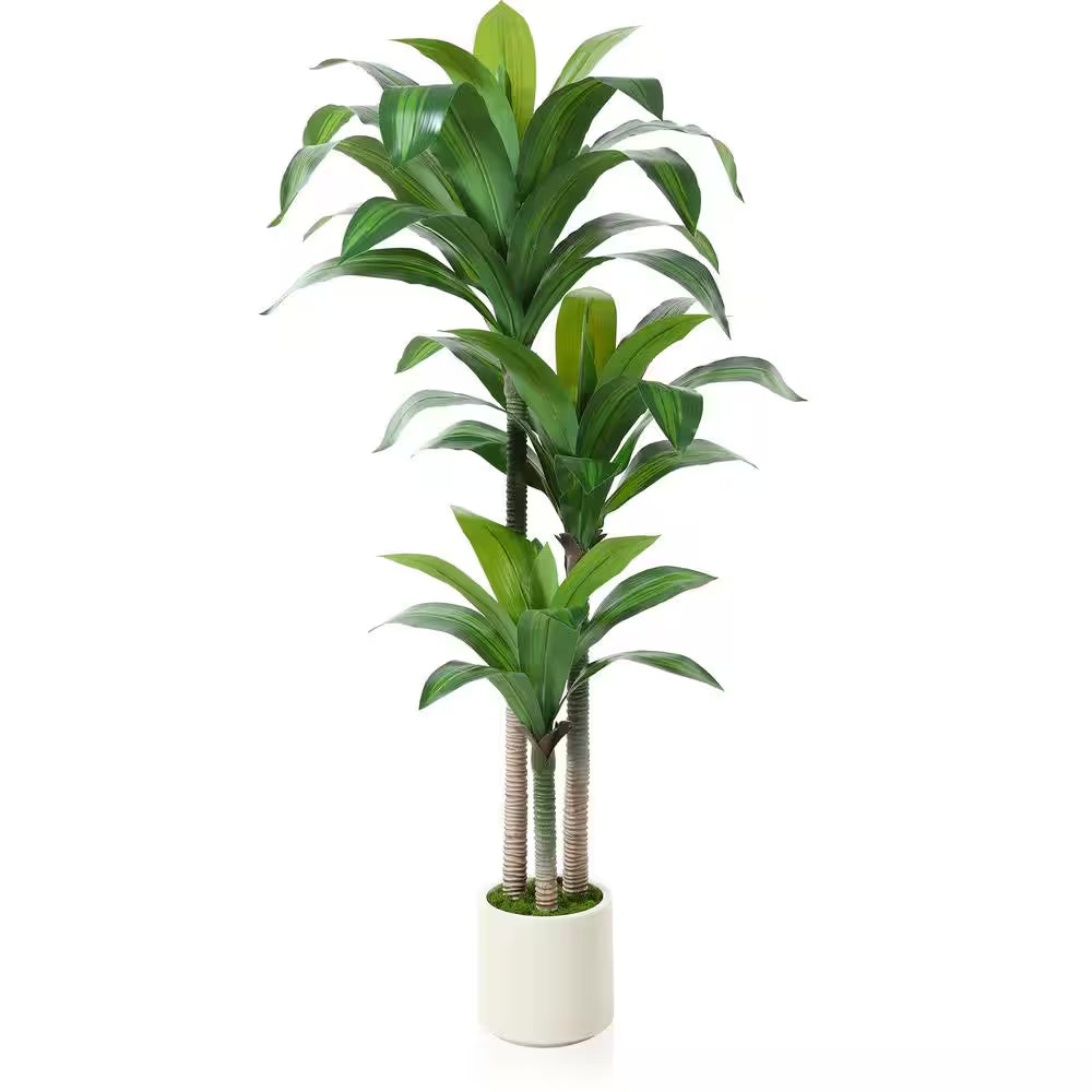 5 Ft. Artificial Dracaena Tree with Large White Planter, Faux Tropical Potted Silk Plant