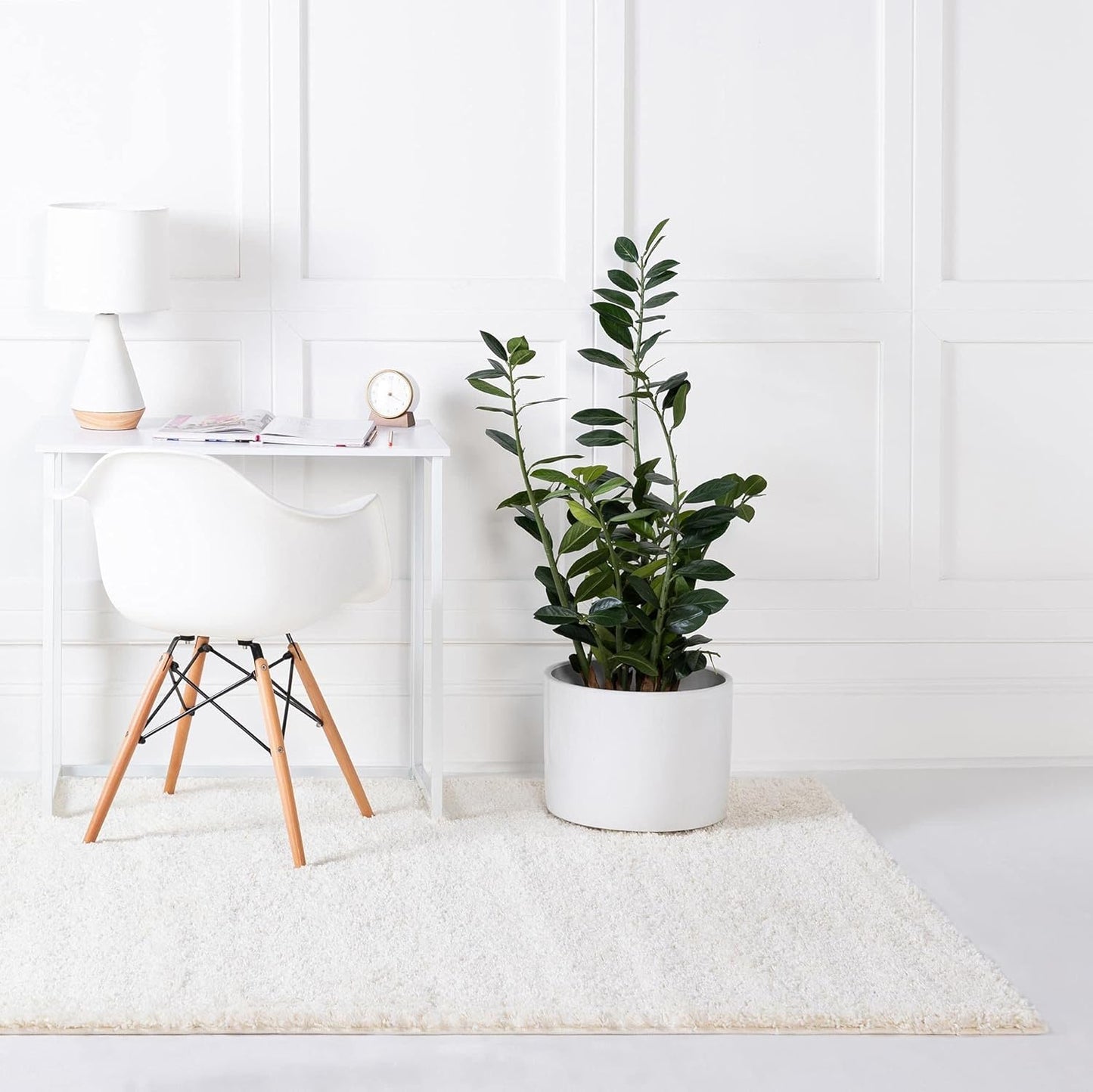 Soft Solid Shag Collection Area Rug – 7X10 White Shag Rug Perfect for Bedrooms, Dining Rooms, Living Rooms