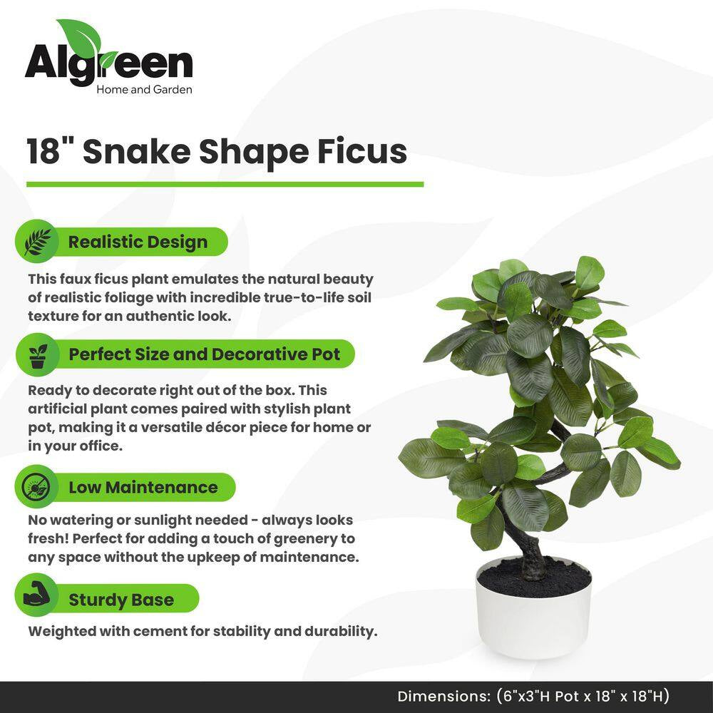 18 In. Artificial Snake Shape Ficus (6 In. X 3.1 In. H Pot; 18 In. X 18 In. H)