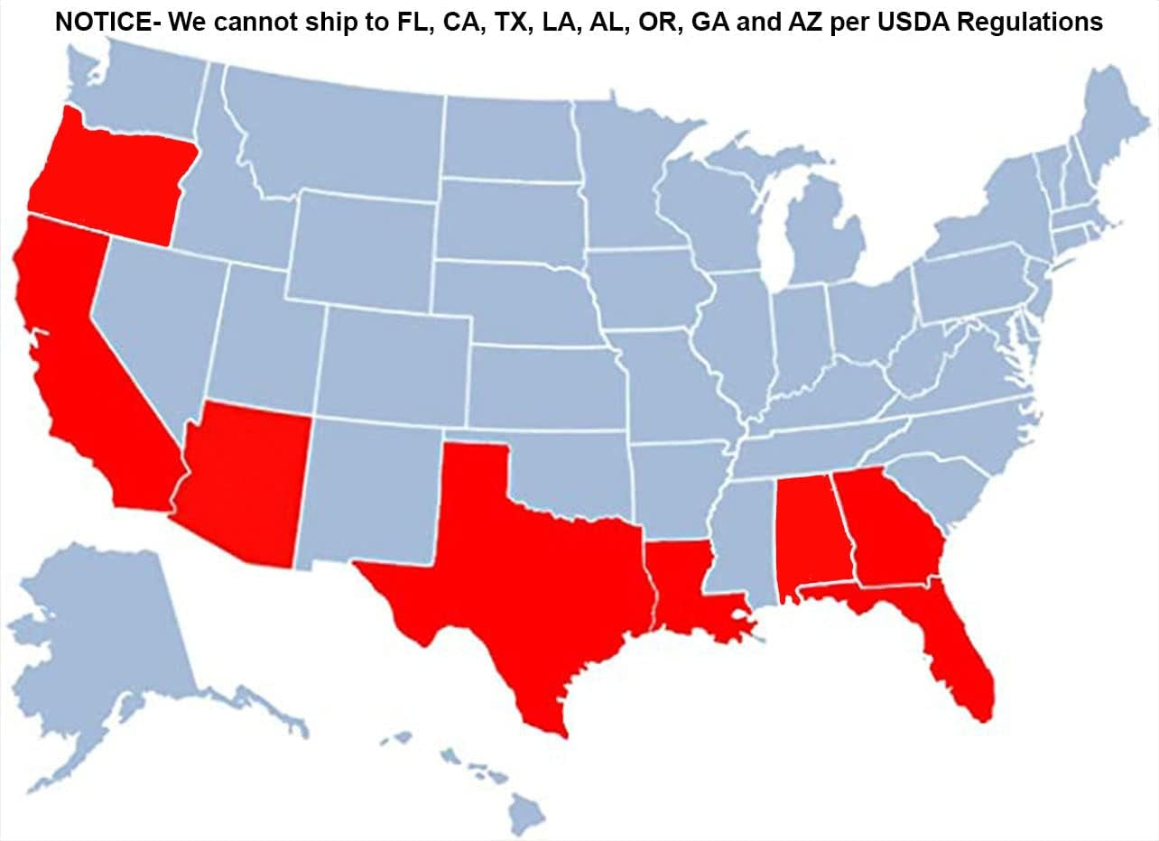 - Blood Orange Tree, 3-4 Ft, Live Trees, No Shipping to AAL, AZ, CA, FL, GA, LA, OR, TX, MS