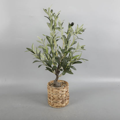 26" Artificial Olive Tree in Natural Woven Rattan Basket