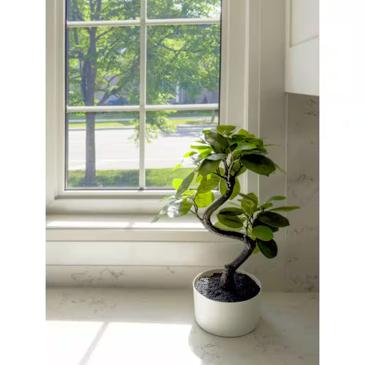 18 In. Artificial Snake Shape Ficus (6 In. X 3.1 In. H Pot; 18 In. X 18 In. H)