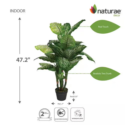 Artificial 47 In. Dieffenbachia Indoor Plants