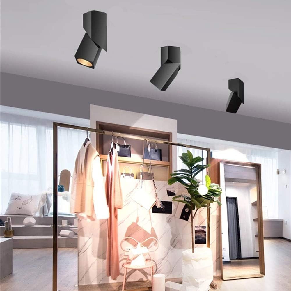 LED Indoor Ceiling Spotlight 360°Adjustable Wall Light - Art DIY Spotlights -12W Warm White Light 3000K Ceiling Downlight -Surface Mounted COB Lighting Swivel Lamp (Black-3000K)