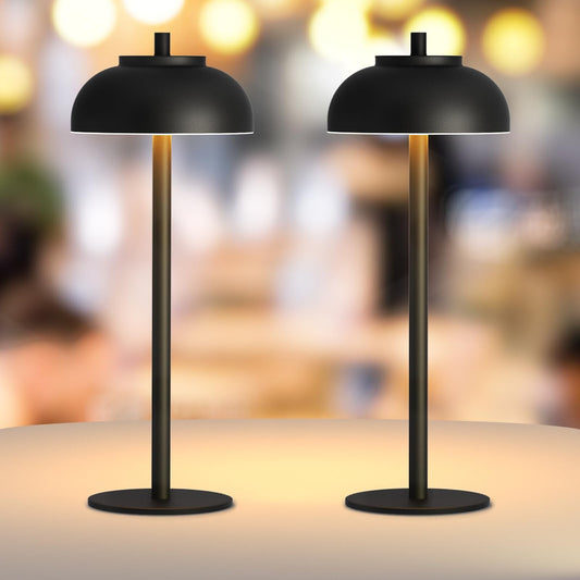 2 Pack Led Cordless Table Lamps Rechargeable,T