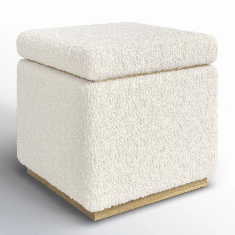 Atreju Upholstered Storage Ottoman